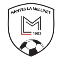 Logo de la mellinet